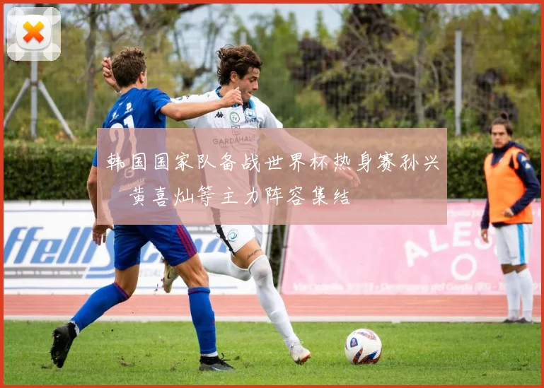 韩国国家队备战世界杯热身赛孙兴慜黄喜灿等主力阵容集结
