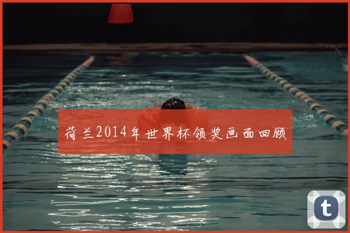 荷兰2014年世界杯领奖画面回顾