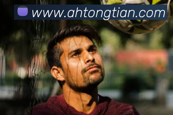 ky体育平台生态图